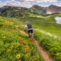 Discounts for Seniors at American Family Field