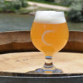 Exploring the Popular Trend of Sour Beer in Central Colorado
