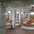 Exploring the Coors Brewery and Other Breweries in Central Colorado